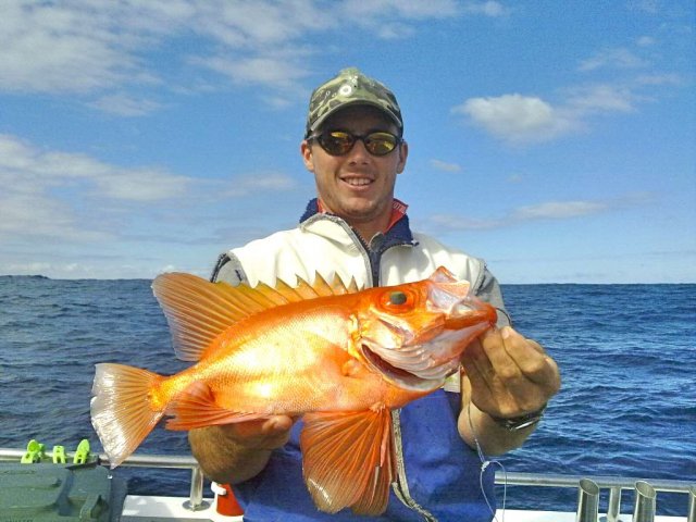 deep drop oglies -Exmouth-Jurien Bay deep drop oglies -Exmouth-Jurien Bay